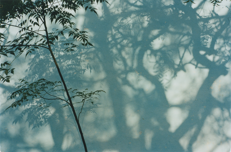 INDE - Photography by EDWARD LANE